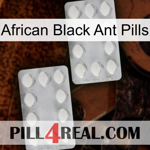 African Black Ant Pills 17.jpg